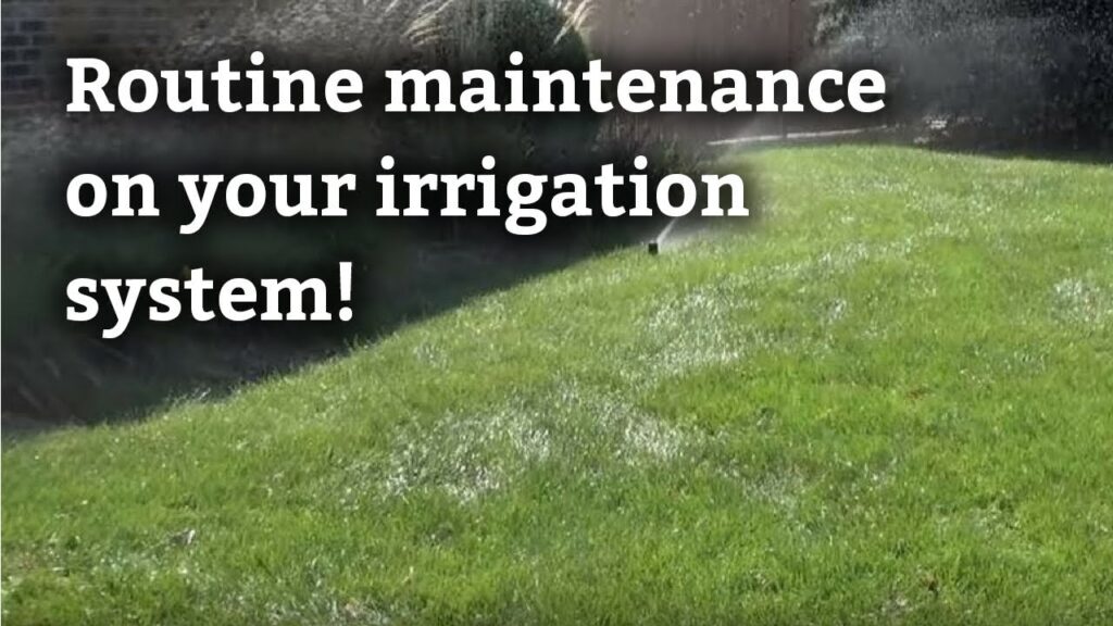 Maintaining Your Irrigation System: Tips and Tricks