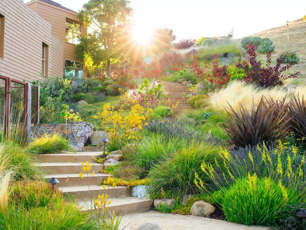How to Create a Drought-Tolerant Landscape in South Africa: Your Guide to Sustainable Garden Design