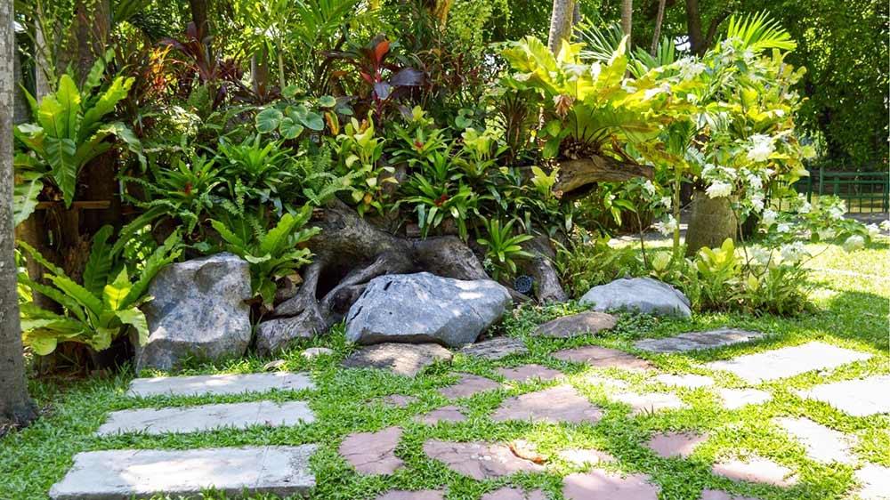 How to Create a Wildlife-Friendly Garden in Your Residential Space