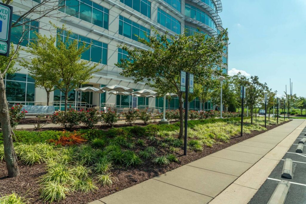 The Role of Landscaping in Boosting Property Values for Body Corporates