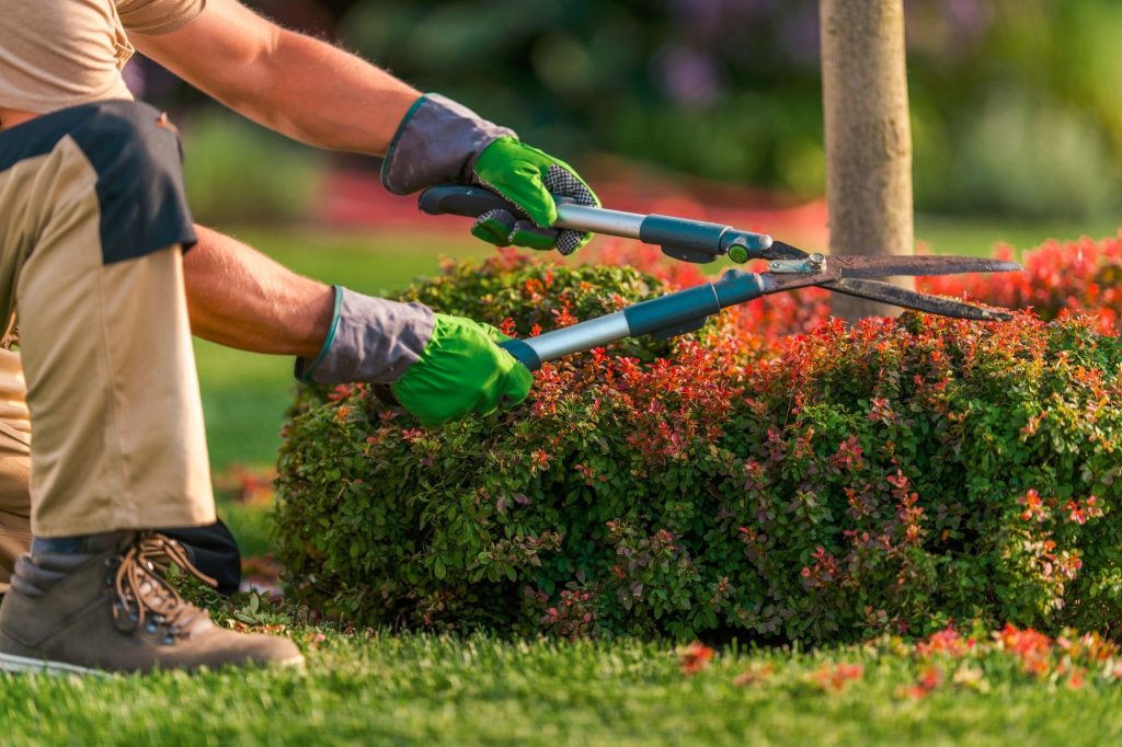 Top Maintenance Tips for Body Corporate Common Areas