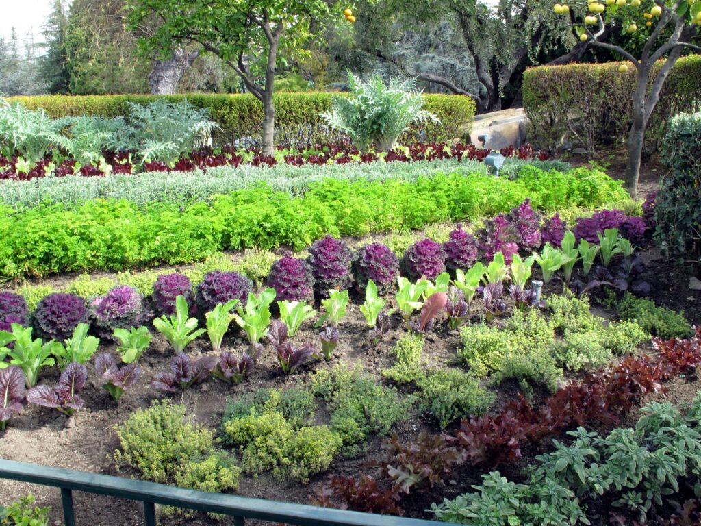 Incorporating Edible Gardens into Your Landscape Design | Hilltop Trading