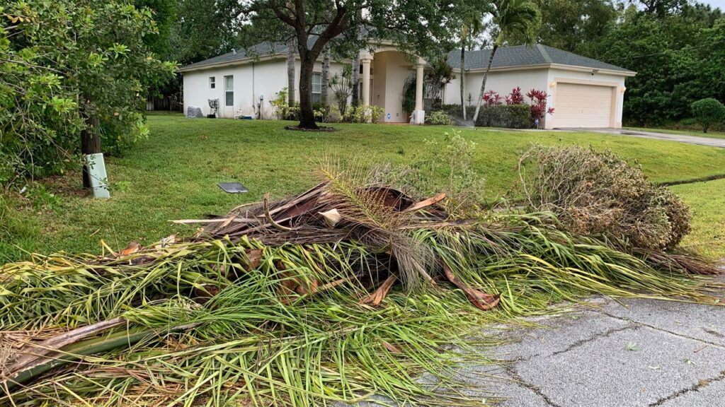 Best Practices for Debris Removal in Gardens After Storms