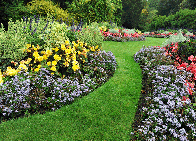 Boosting Corporate Aesthetics with Seasonal Plantings