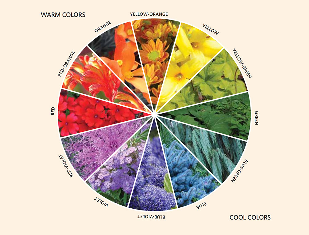 How to Use Color Theory in Your Garden Landscaping