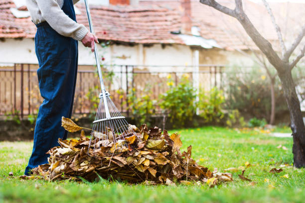 Why Regular Cleaning Boosts the Health of Your Outdoor Plants