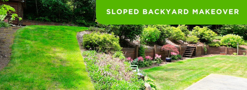 Slope Solutions: How to Landscape on Uneven Terrain