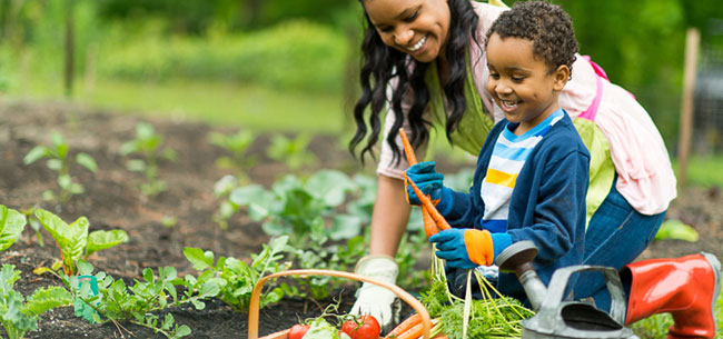 Gardening for Kids: Fun and Educational Garden Ideas for Families
