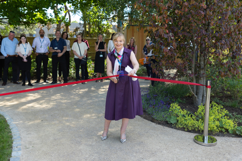 How Corporate Gardens Can Improve Employee Mental Health