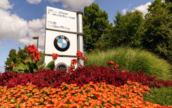 Seasonal Colour Schemes for Corporate Gardens: Make Your Office Grounds Look Like They Actually Care What Month It Is