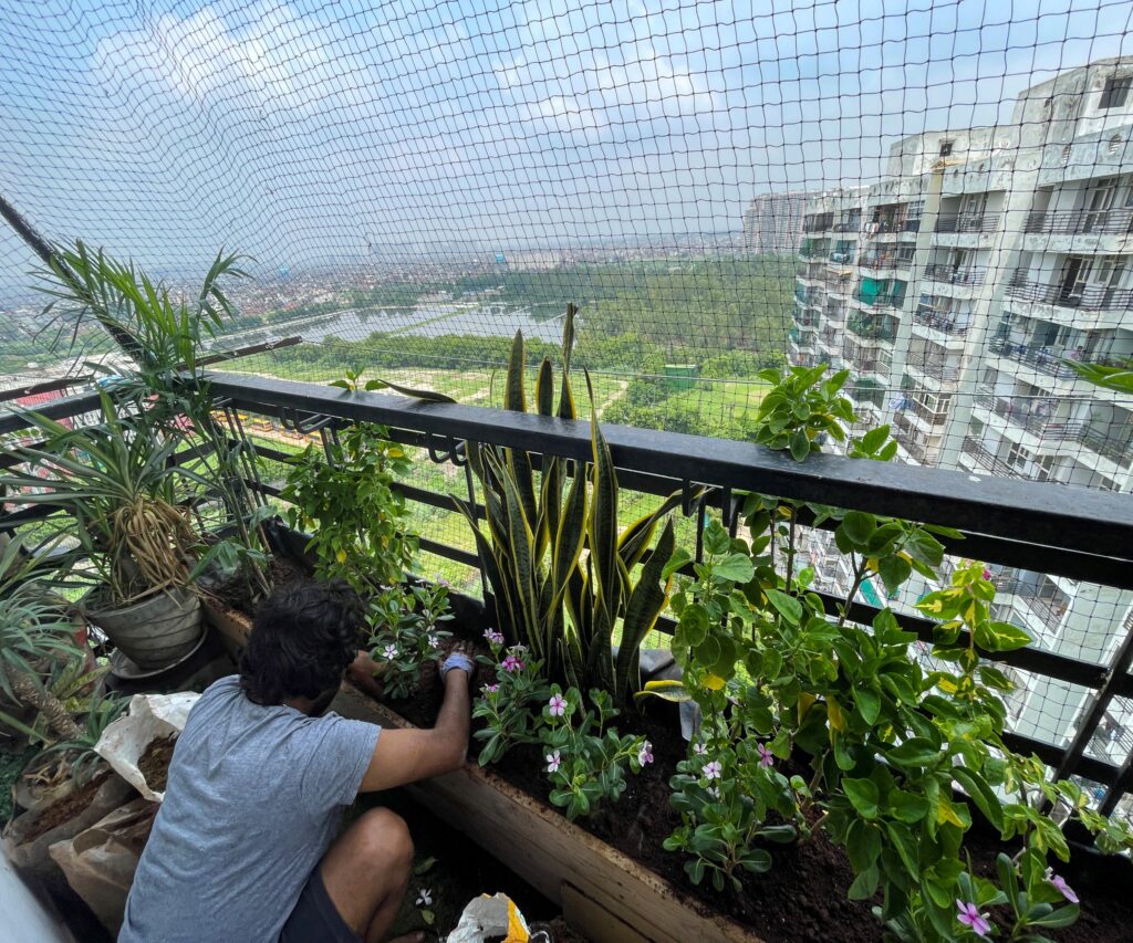 How to Use Plants to Reduce Office Noise: The Fourways Guide to Quieter, Calmer Corporate Gardens