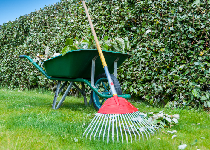 Seasonal Garden Tasks for Body Corporate Properties: A Practical Fourways Guide That Actually Gets Done